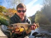 Nice October Brown trout, Slovenia
